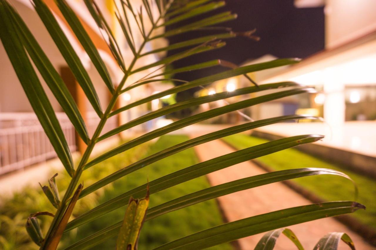 Hotel Passions De Goa Andžuna Exteriér fotografie